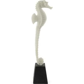 Mikasa Moor Deniz Atı 13x51 cm Biblo