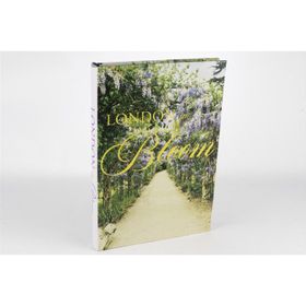 Mikasa Moor London Bloom 35x24x3 cm Kitap Kutu