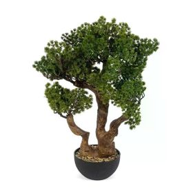 Mikasa Moor Pinus 75 cm Bonsai Yapay Ağaç
