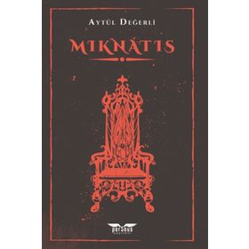 Mıknatıs - Aytül Değerli