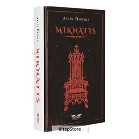 Mıknatıs - Aytül Değerli