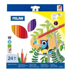 Milan N:80024 Altıgen 24'lü Colours Kuru Boya