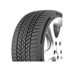 Milestone 225/45 R18 95V Reinf. Carmile Winter Kış Lastiği