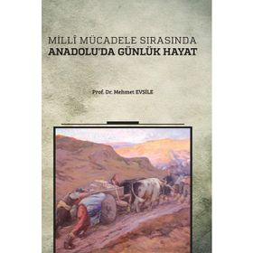 Milli Mücadele Sırasında Anadolu’da Günlük Hayat - Mehmet Evsile