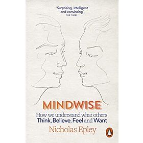 Mindwise : How We Understand What Others Think, Believe, Feel, and Want - Nicholas Epley