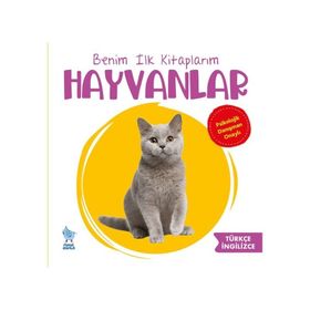 Minik Damla Beninm İlk Kitaplarım Hayvanlar