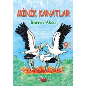 Minik Kanatlar - Berrin Çoruk Aksu