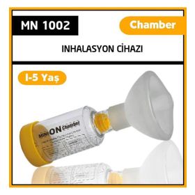 Minion Sarı Chamber Medium Çocuk