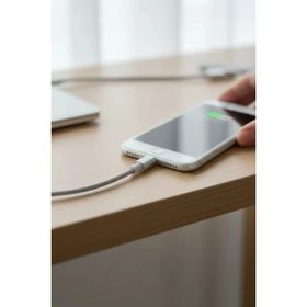 Miniso 2.4A Gri Apple Lightning USB Şarj Kablosu