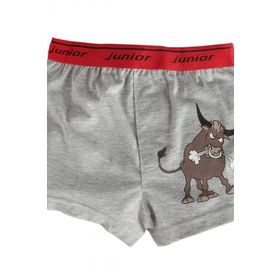 Miorre Erkek Çocuk Boxer