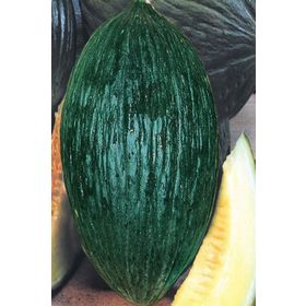 Miracle 10 gr Sulu Hasanbey Kavun Tohumu