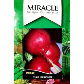 Miracle 10 gr Tohum İri Toros Kırmızısı Turp Tohumu