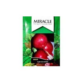 Miracle 10 gr Tohum İri Toros Kırmızısı Turp Tohumu