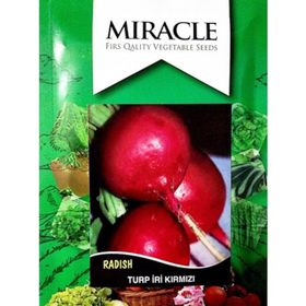 Miracle 10 gr Tohum İri Toros Kırmızısı Turp Tohumu