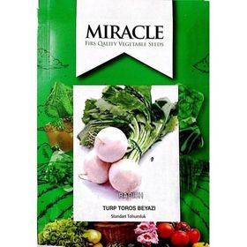 Miracle 10 gr Toros Beyaz Turp Tohumu