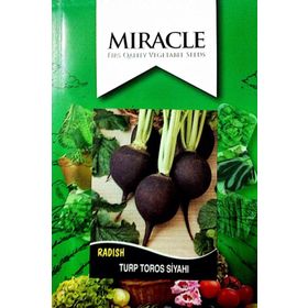 Miracle 10 gr Toros Siyahı Turp Tohumu