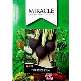 Miracle 10 gr Toros Siyahı Turp Tohumu
