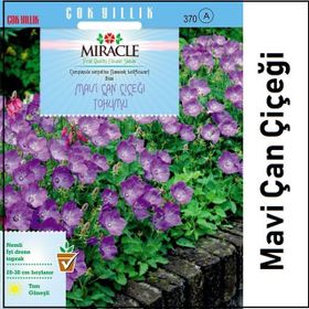 Miracle 1000 Adet Mavi Çan Çiçeği Tohumu