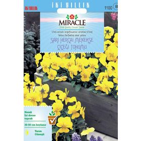 Miracle 150 Tohum Sarı Hercai Dev Menekşe Çiçeği Tohumu