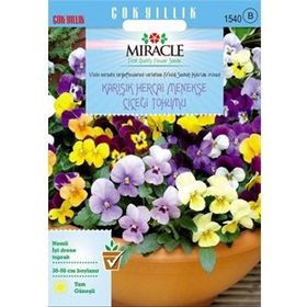 Miracle 150 Tohum Sarı Hercai Dev Menekşe Çiçeği Tohumu