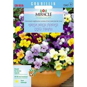 Miracle 150 Tohum Sarı Hercai Dev Menekşe Çiçeği Tohumu
