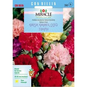 Miracle 190 Adet Chabaud Mixed Karışık Renkli Karanfil Çiçeği Tohumu
