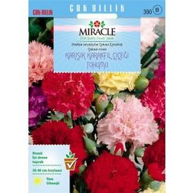 Miracle 190 Adet Chabaud Mixed Karışık Renkli Karanfil Çiçeği Tohumu