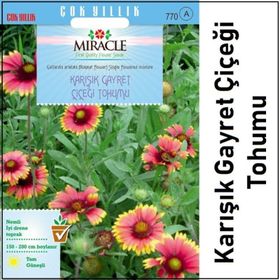 Miracle 190 Adet Karışık Gayret Çiçeği Tohumu