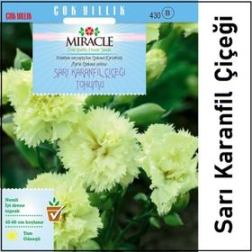 Miracle 190 Adet Sarı Karanfil Çiçeği Tohumu