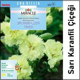 Miracle 190 Adet Sarı Karanfil Çiçeği Tohumu