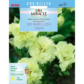 Miracle 190 Adet Sarı Karanfil Çiçeği Tohumu