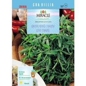 Miracle 200 Tohum 1 Adet Zahter Kekiği Tohumu