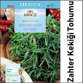 Miracle 200 Tohum Zahter Kekiği Tohumu