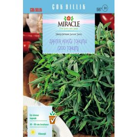 Miracle 200 Tohum Zahter Kekiği Tohumu