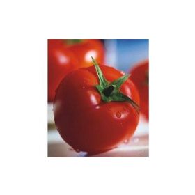 Miracle 2274 10 gr Tohum Sofralık Domates Tohumu