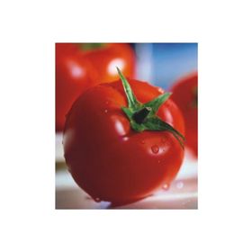 Miracle 2274 10 gr Tohum Sofralık Domates Tohumu