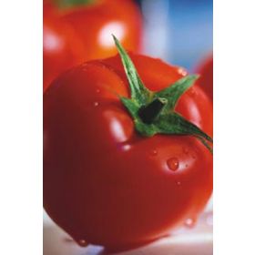 Miracle 2274 10 gr Tohum Sofralık Domates Tohumu
