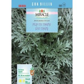 Miracle 250 Tohum 10 Adet Pelin Otu Tohumu