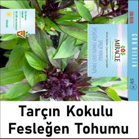 Miracle 250 Tohum Tarçın Kokulu Fesleğen Tohumu