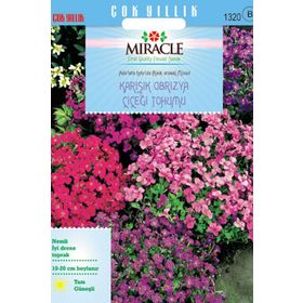 Miracle 400 Tohum Rock Cress Aubrieta Karışık Renkli Obrizya Çiçeği Tohumu