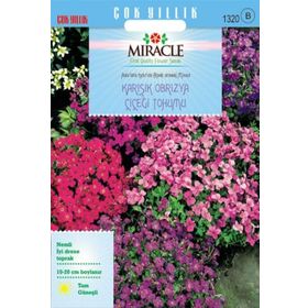 Miracle 400 Tohum Rock Cress Aubrieta Karışık Renkli Obrizya Çiçeği Tohumu