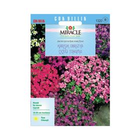 Miracle 400 Tohum Rock Cress Aubrieta Karışık Renkli Obrizya Çiçeği Tohumu