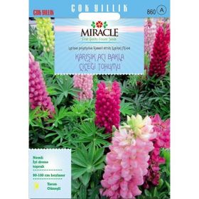 Miracle 42 Tohum Russell Strain Karışık Renkli Acı Bakla Çiçeği Tohumu