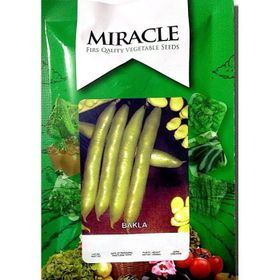 Miracle 50 gr Erkenci Sakız Bakla Tohum