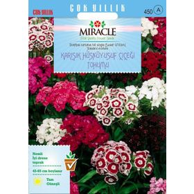Miracle 690 Tohum Uzun Boylu Karışık Renkli Hüsnü Yusuf Çiçeği Tohumu