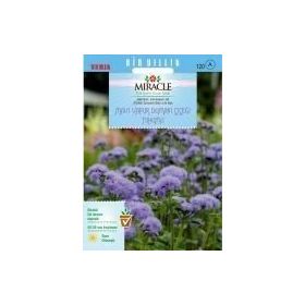 Miracle Ageratum Mexicanum Mavi Vapur Dumanı Çiçeği 1000 Tohum