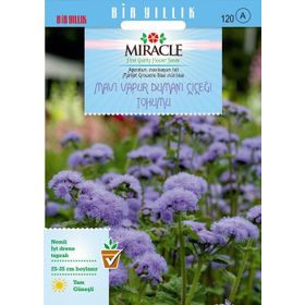 Miracle Ageratum Mexicanum Mavi Vapur Dumanı Çiçeği 1000 Tohum