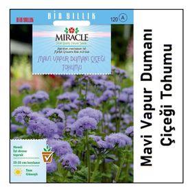 Miracle Ageratum Mexicanum Mavi Vapur Dumanı Çiçeği 1000 Tohum