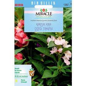 Miracle Balsamina Karışık Renkli 150 Tohum Kına Çiçeği