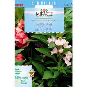 Miracle Balsamina Karışık Renkli 150 Tohum Kına Çiçeği